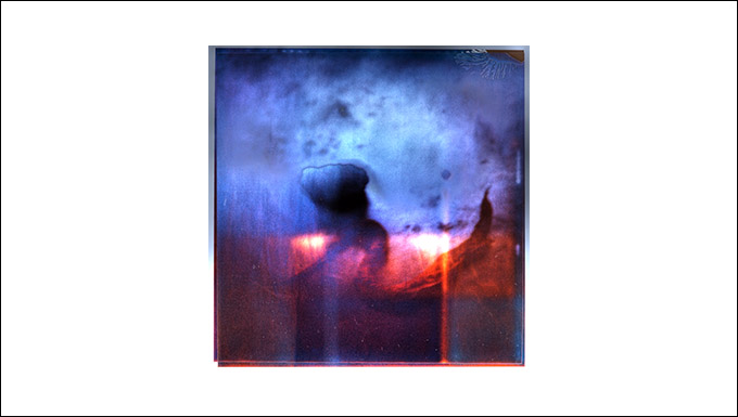 polaroid